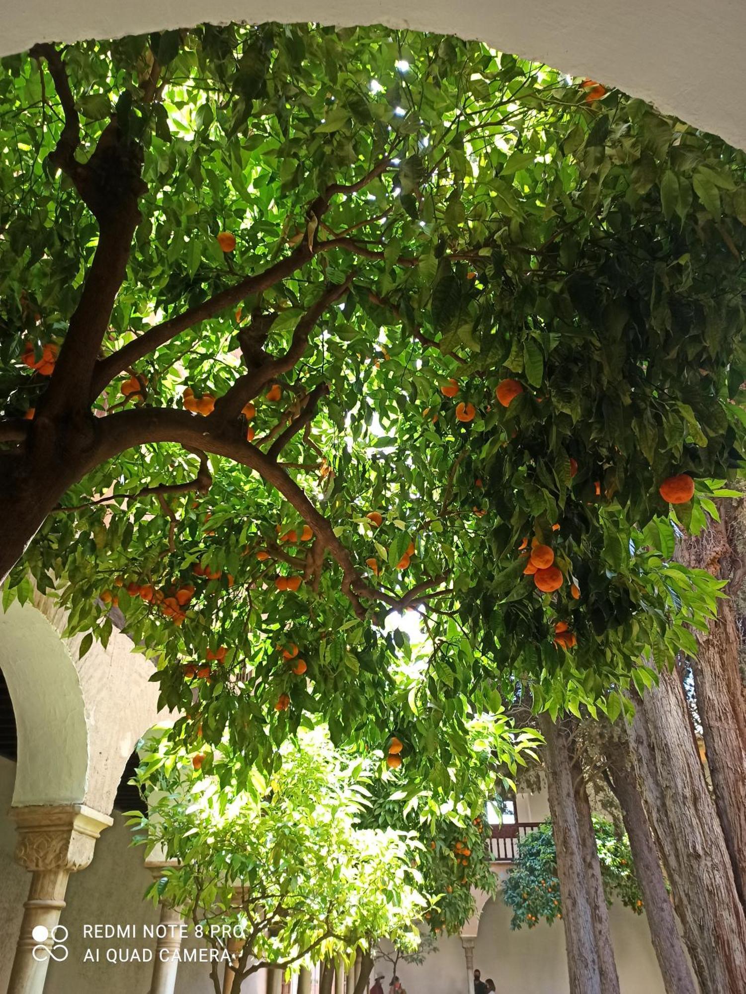 Villa Susana Torrevieja Luaran gambar